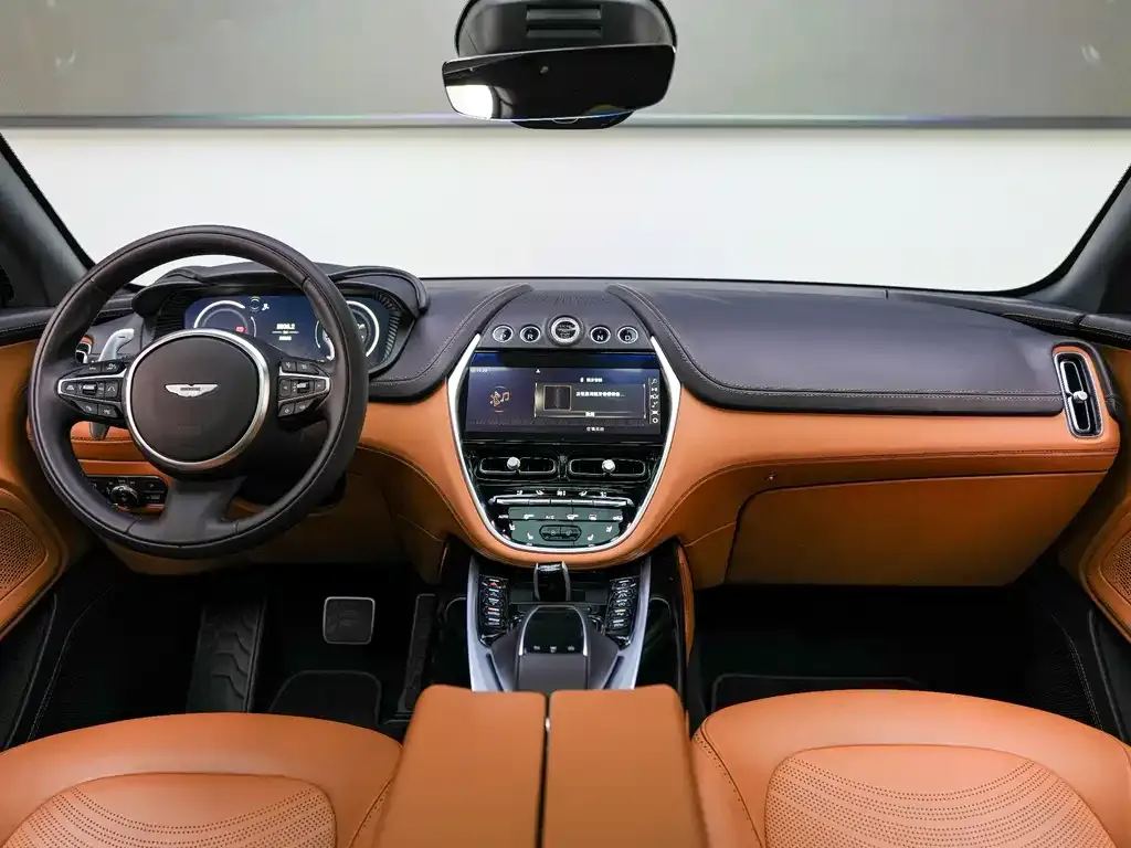 Aston Martin DBX 2023 из CN, фото 9