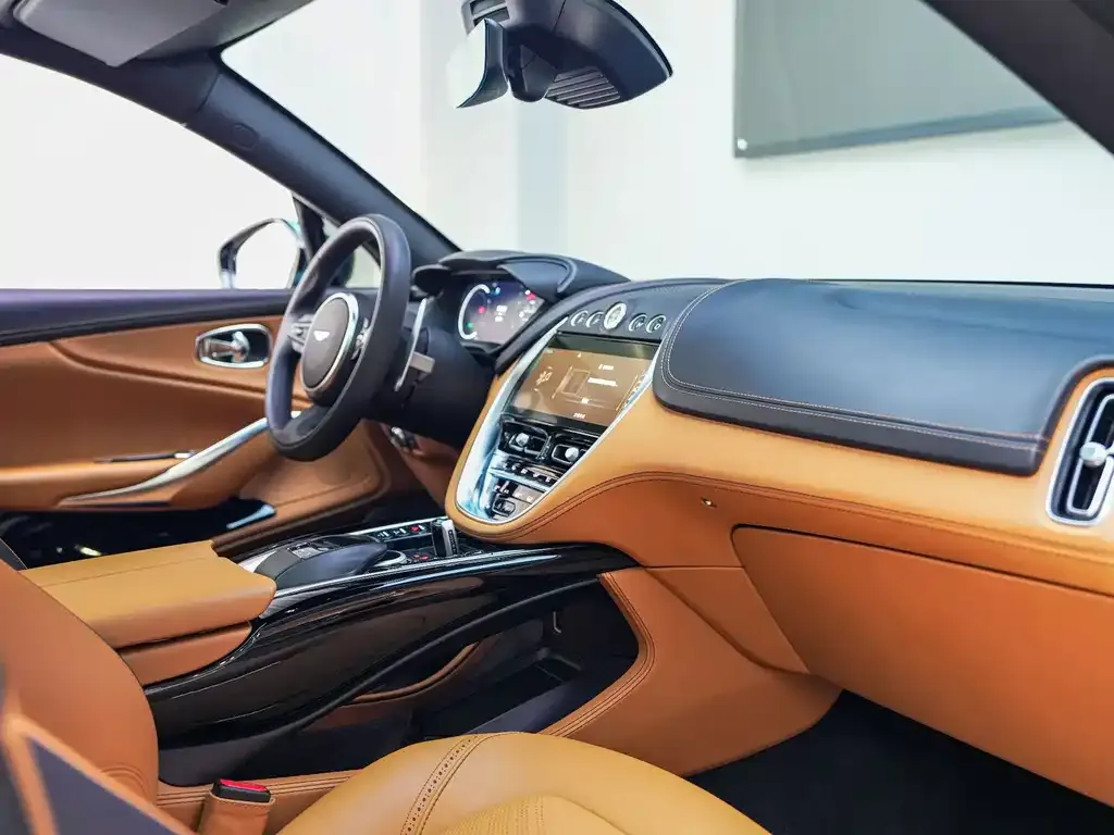 Aston Martin DBX 2023 из CN, фото 8