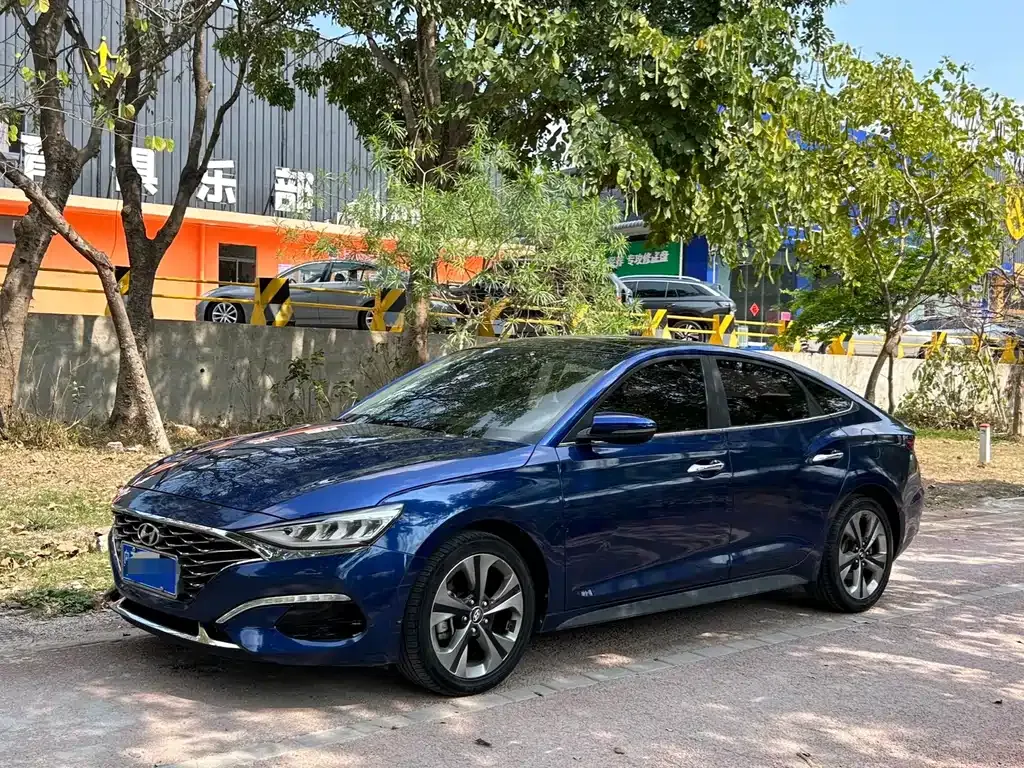 Hyundai Fista — фото 1