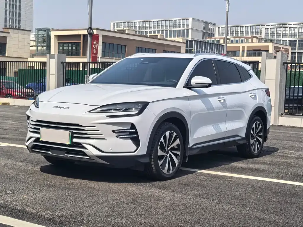 BYD PLUS New Energy 2023 из CN, фото 1