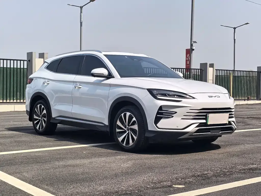 BYD PLUS New Energy 2023 из CN, фото 8