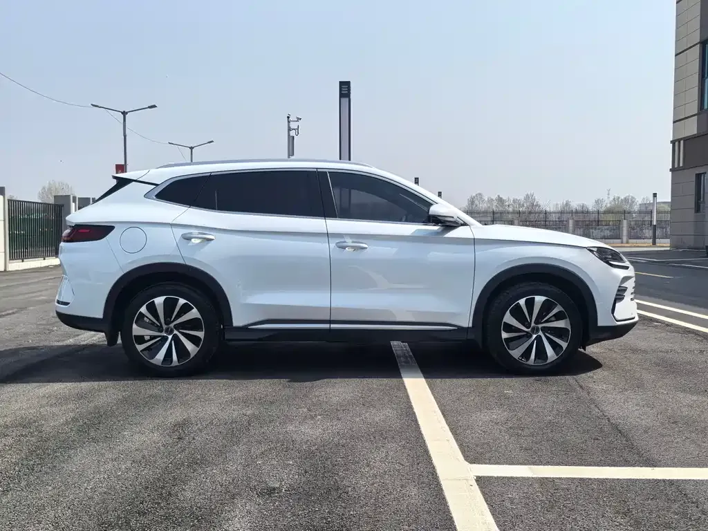 BYD PLUS New Energy 2023 из CN, фото 2