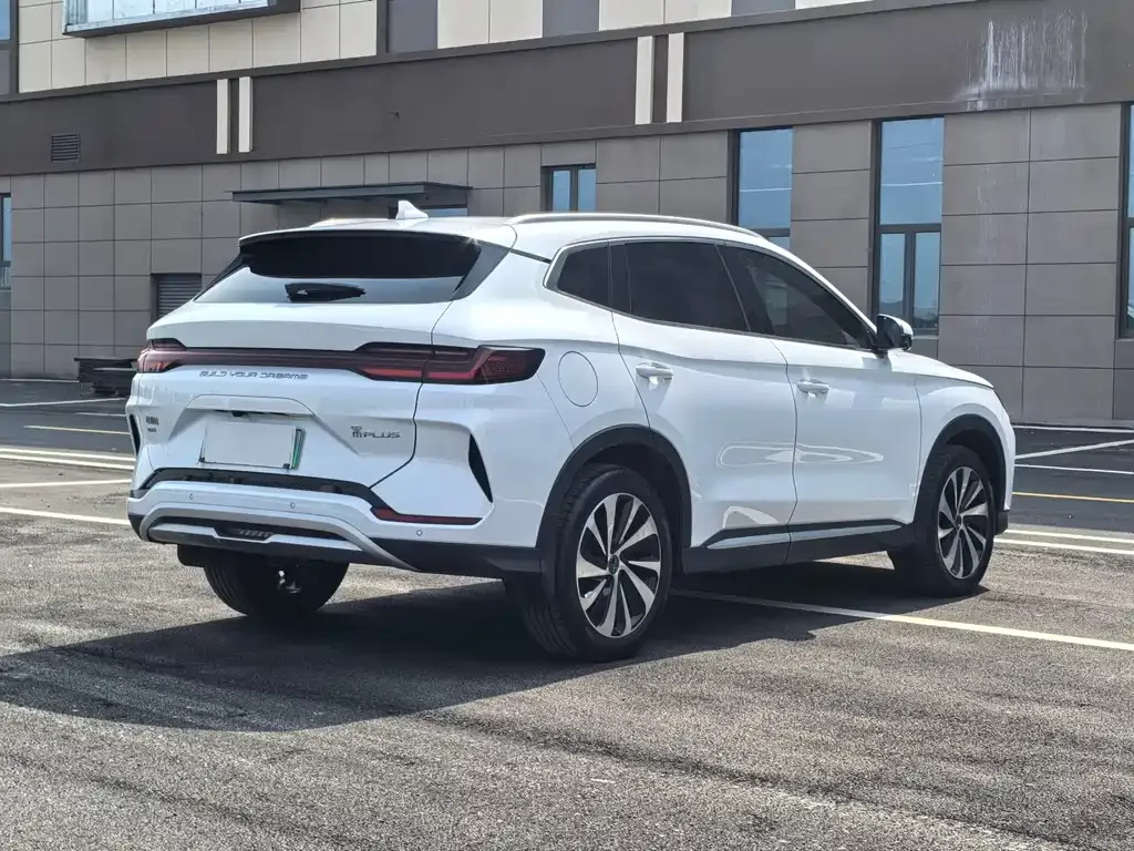 BYD PLUS New Energy 2023 из CN, фото 10