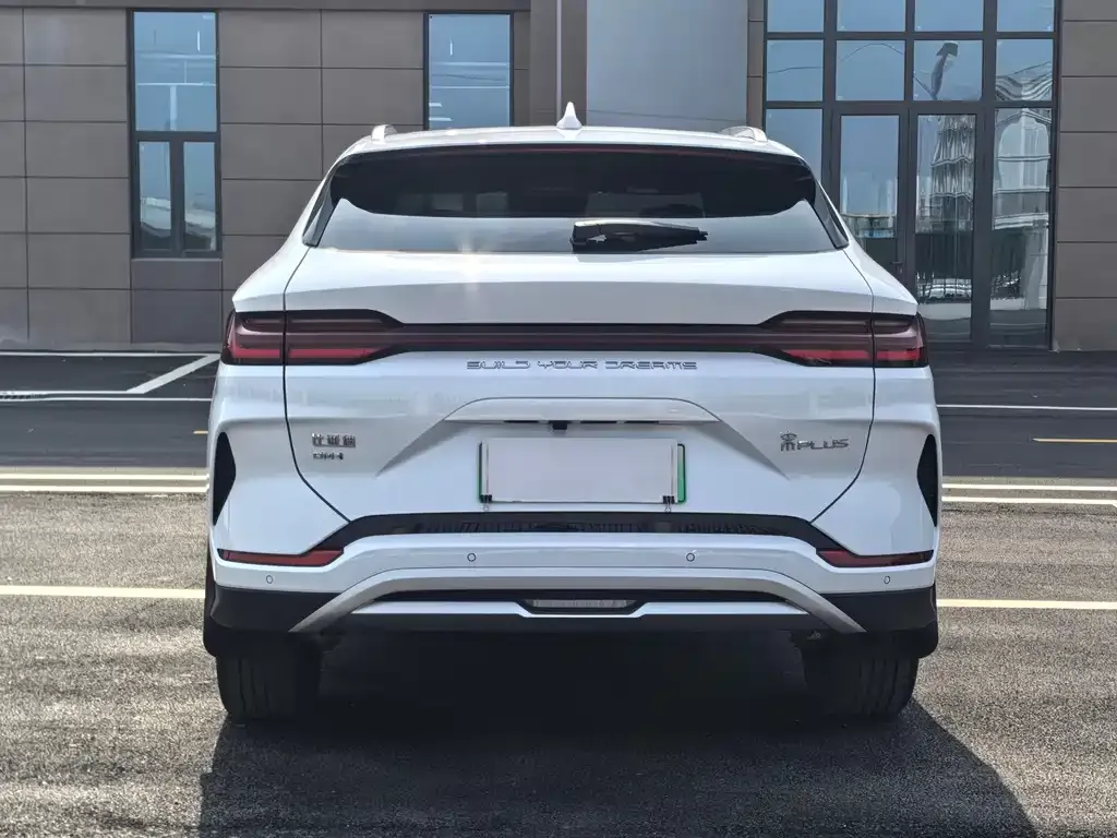 BYD PLUS New Energy 2023 из CN, фото 5