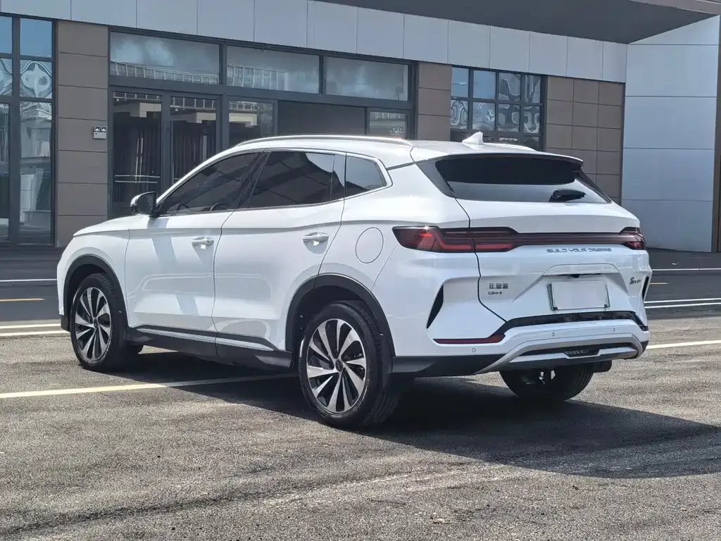 BYD PLUS New Energy 2023 из CN, фото 4
