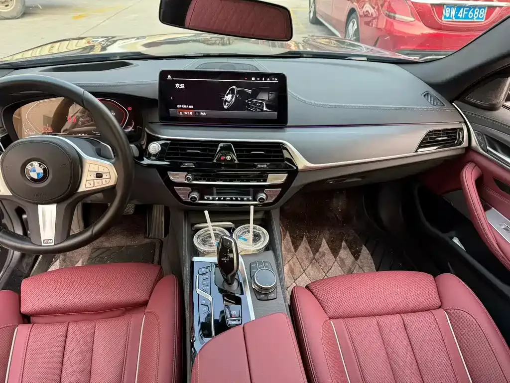 BMW 5 Series 2024 из CN, фото 5