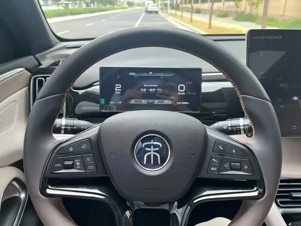 BYD Pro New Energy — фото 3