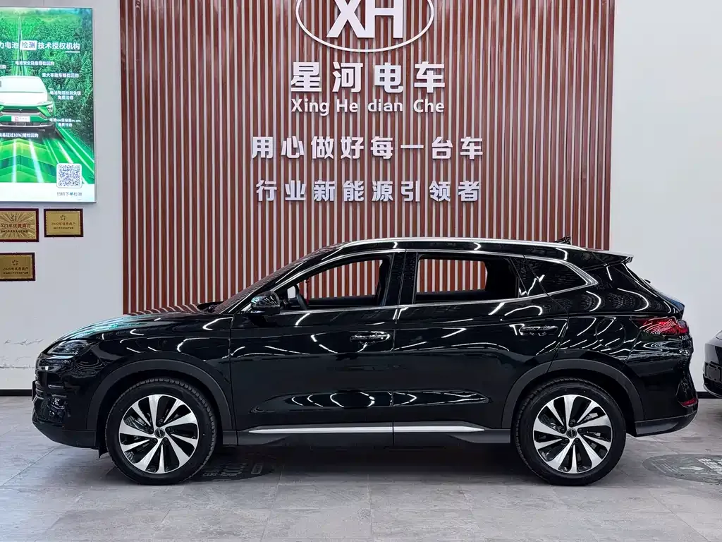 BYD PLUS New Energy — фото 9
