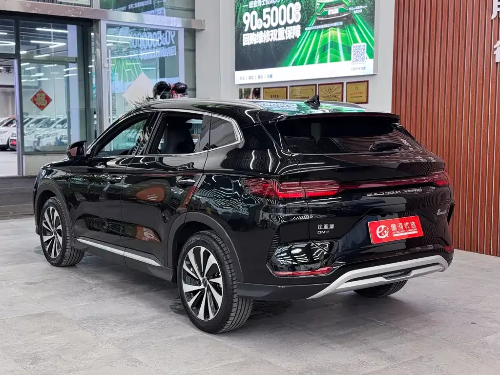 BYD PLUS New Energy — фото 8