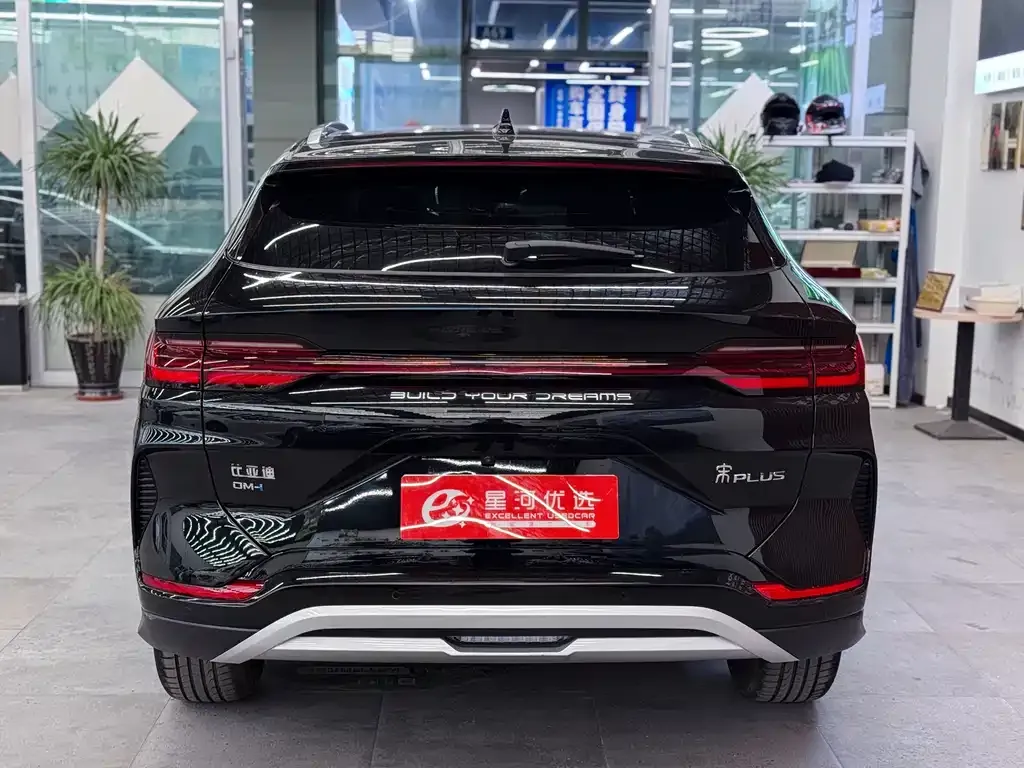 BYD PLUS New Energy — фото 7