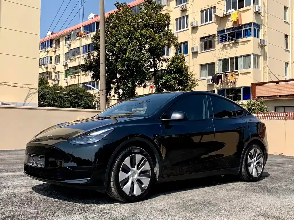 Tesla Model Y — фото 1