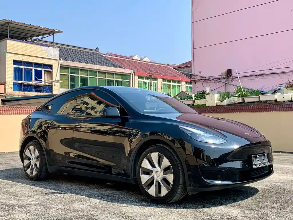 Tesla Model Y — фото 6