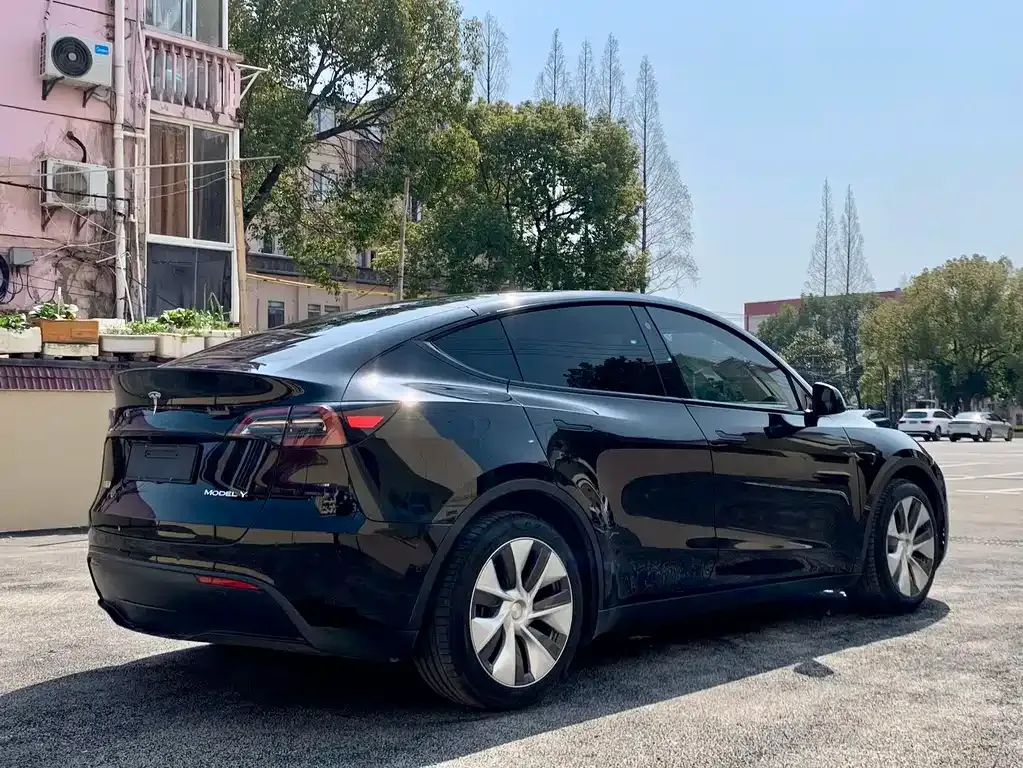 Tesla Model Y — фото 7