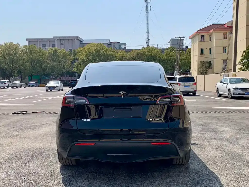 Tesla Model Y — фото 5