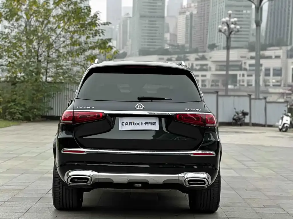 Mercedes-Benz GLS 2021 из CN, фото 9