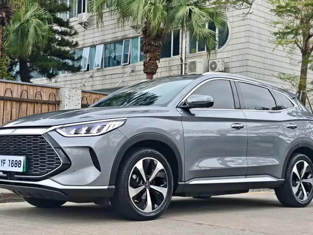 BYD PLUS New Energy 2022 из CN, фото 1