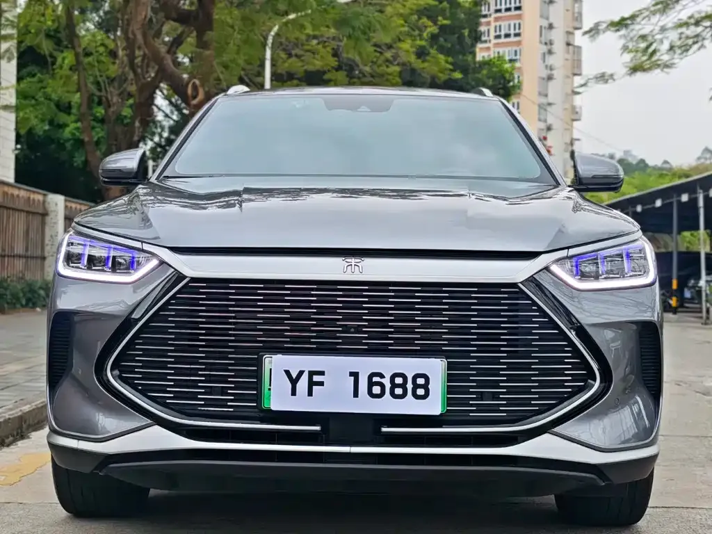 BYD PLUS New Energy 2022 из CN, фото 3