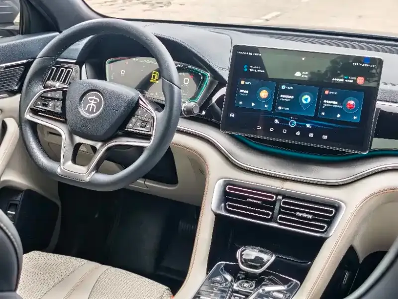 BYD PLUS New Energy 2022 из CN, фото 6