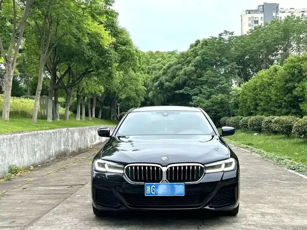 BMW 5 Series 2021 из CN, фото 6