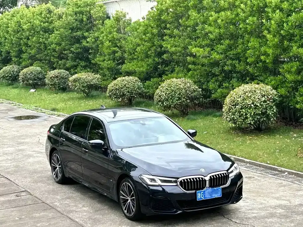 BMW 5 Series 2021 из CN, фото 7