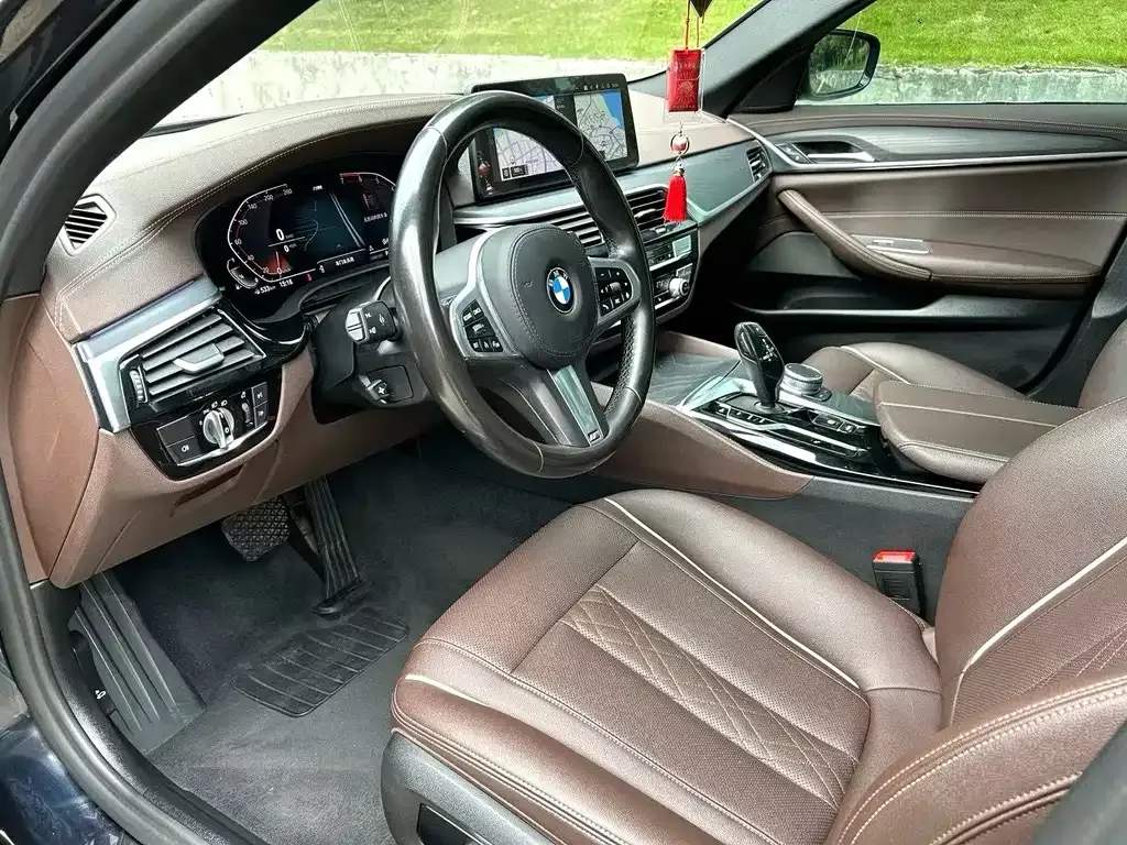 BMW 5 Series 2021 из CN, фото 5