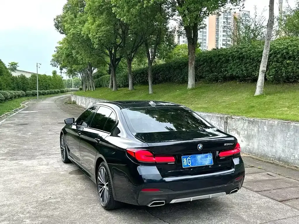 BMW 5 Series 2021 из CN, фото 3