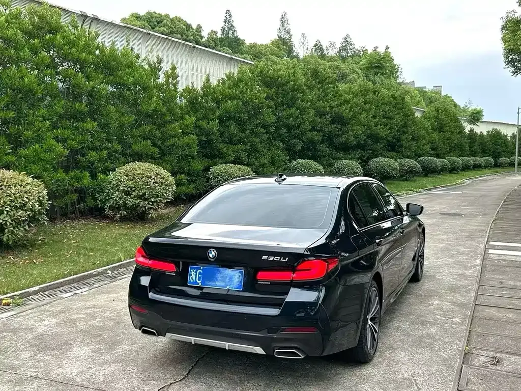 BMW 5 Series 2021 из CN, фото 8