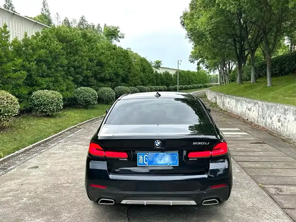 BMW 5 Series 2021 из CN, фото 4