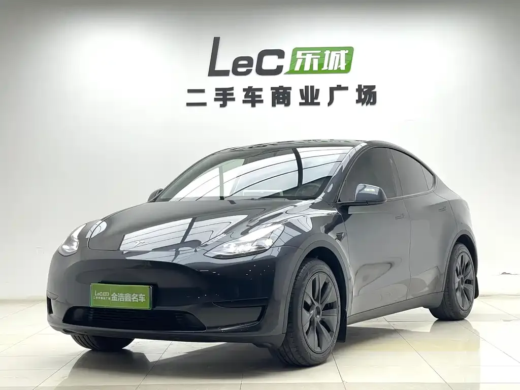 Tesla Model Y — фото 1
