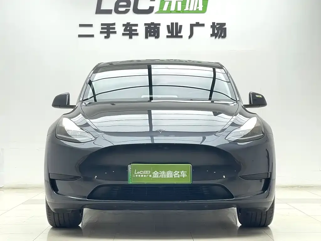 Tesla Model Y — фото 6