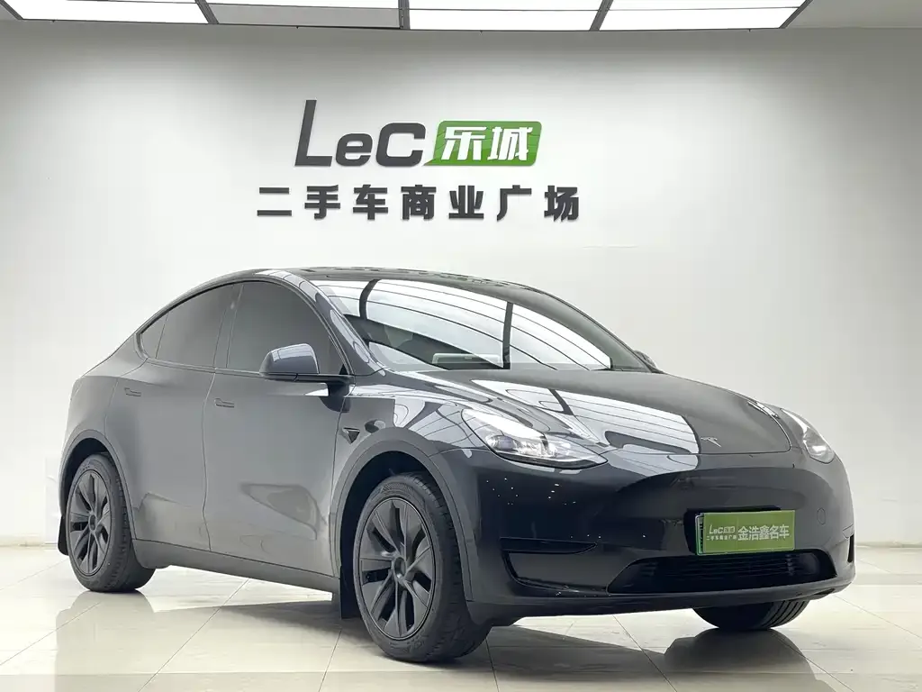 Tesla Model Y — фото 10