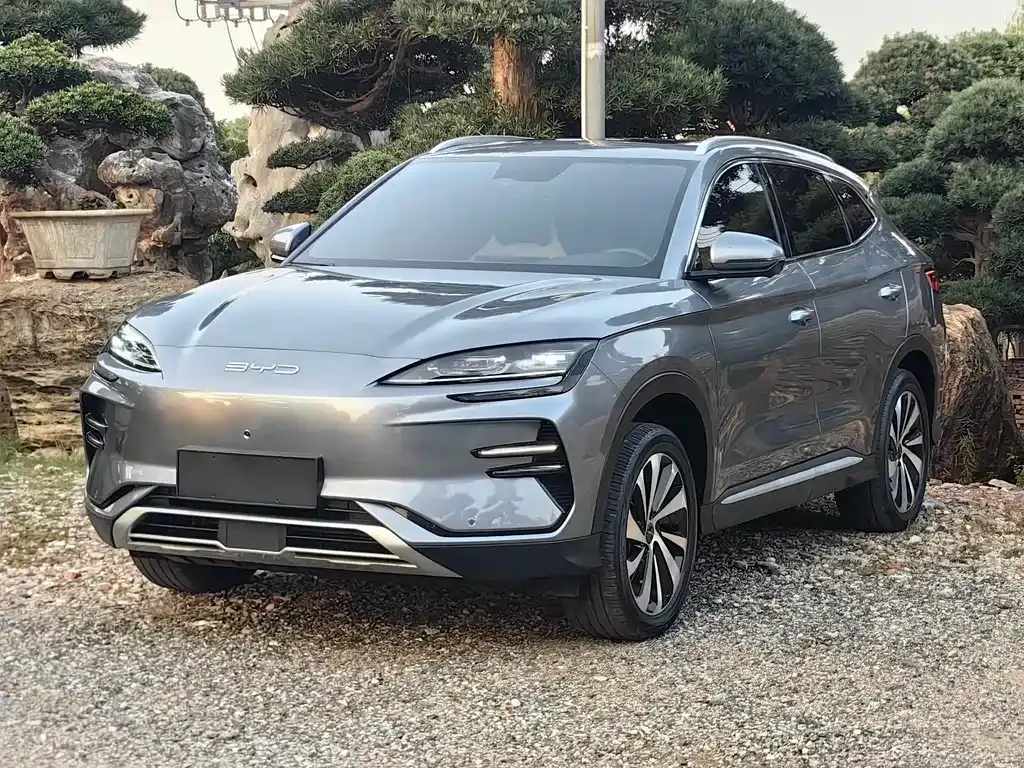 BYD PLUS New Energy — фото 1