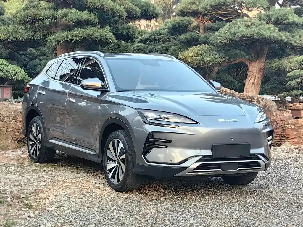 BYD PLUS New Energy — фото 10