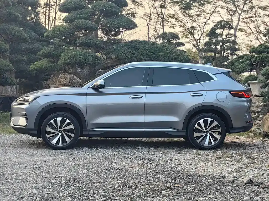 BYD PLUS New Energy — фото 8