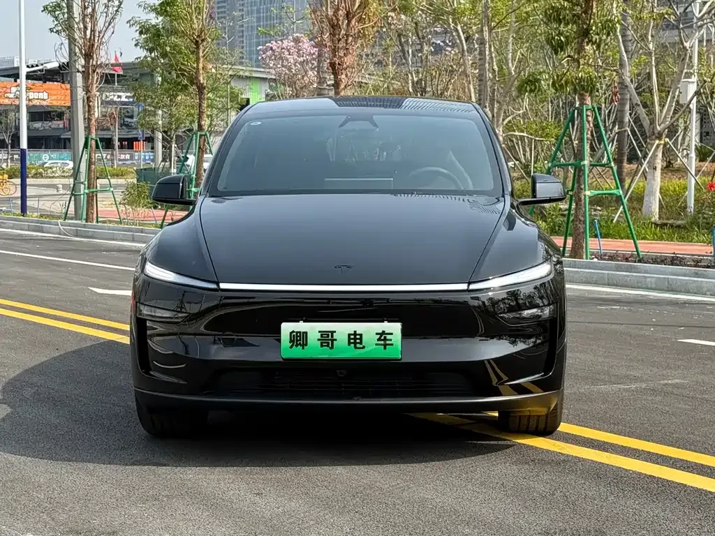 Tesla Model Y L 2025 из CN, фото 7