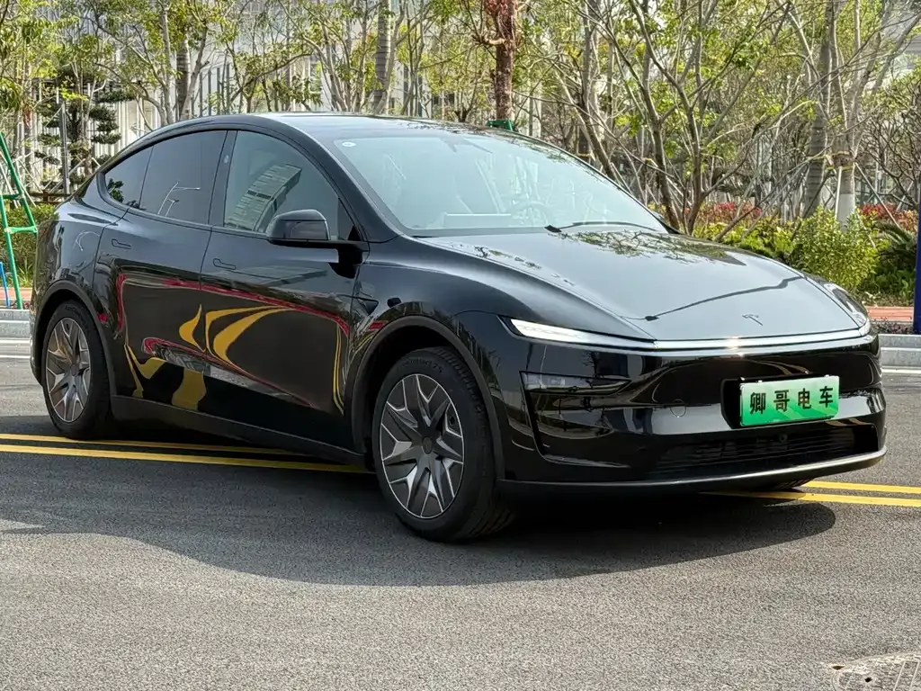 Tesla Model Y L 2025 из CN, фото 6