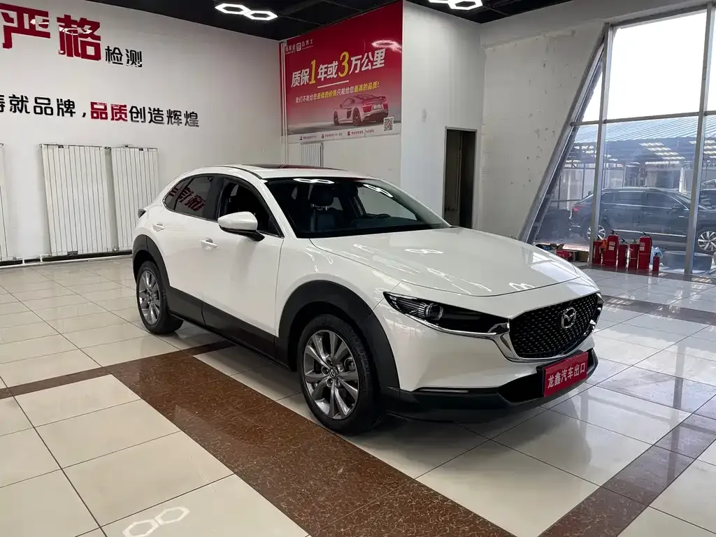 Mazda CX-30 2021 из CN, фото 10