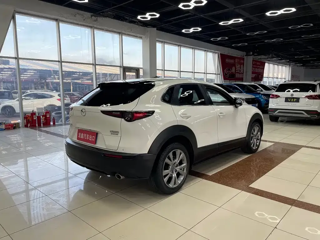 Mazda CX-30 2021 из CN, фото 4