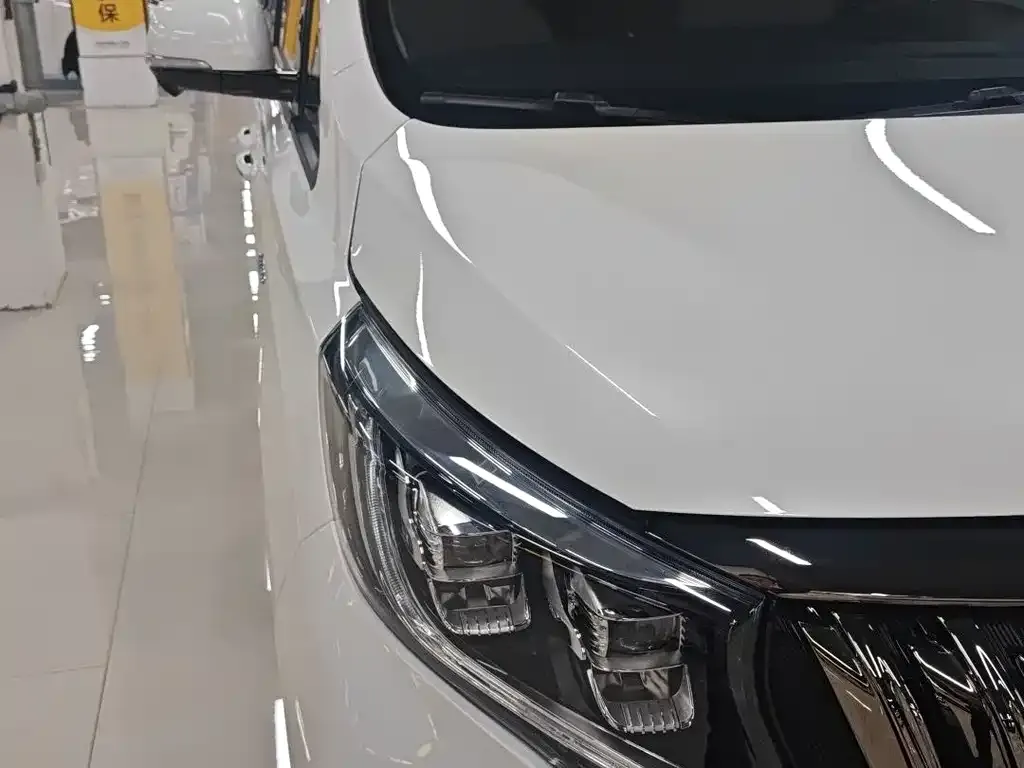 GAC Motor Trumpchi M8 2022 из CN, фото 9