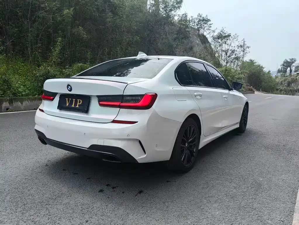 BMW 3 Series 2021 из CN, фото 8