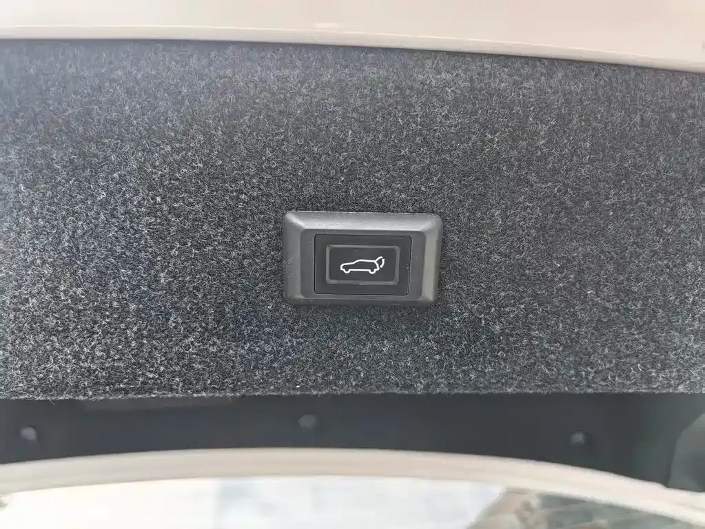 BMW 3 Series 2021 из CN, фото 5