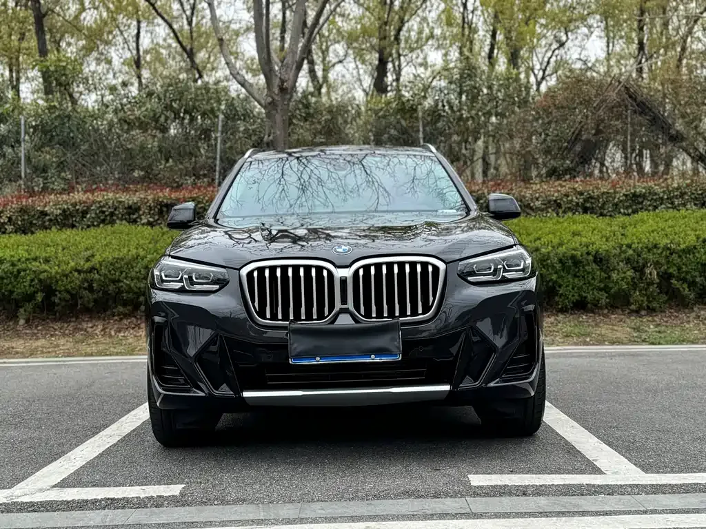 BMW X3 — фото 1