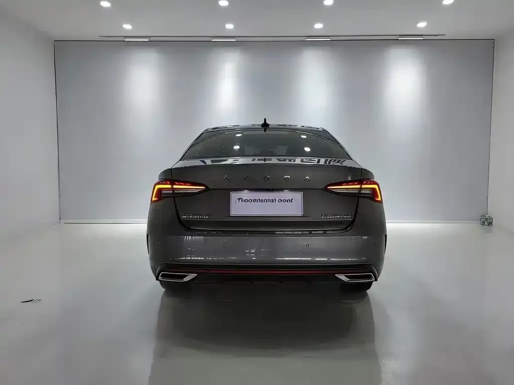 Skoda Octavia 2022 из CN, фото 2