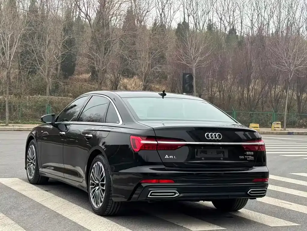 Audi A6L New Energy — фото 6