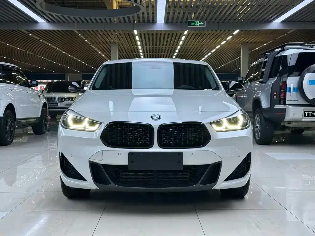 BMW X2 2023 из CN, фото 6
