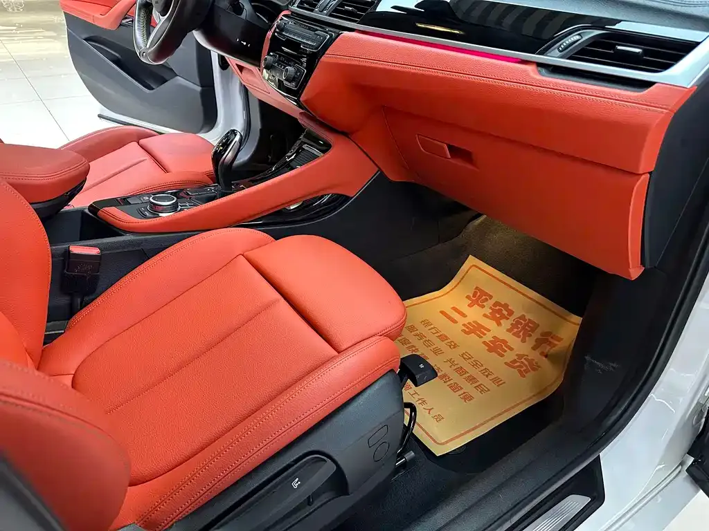 BMW X2 2023 из CN, фото 10