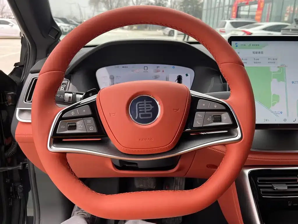 BYD Tang New Energy 2025 из CN, фото 9