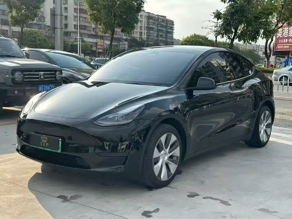 Tesla Model Y — фото 8