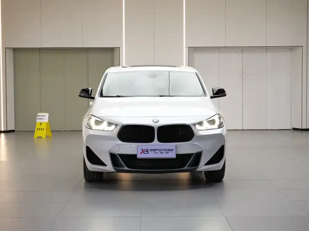 BMW X2 2023 из CN, фото 4