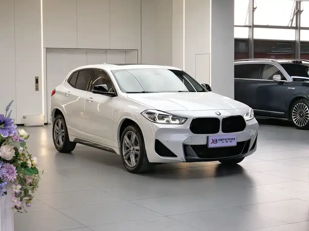 BMW X2 2023 из CN, фото 3